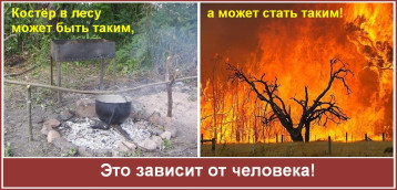 Пожарная безопасность летом Пожарная безопасность летом.